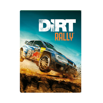 DiRT Rally Steam Key image