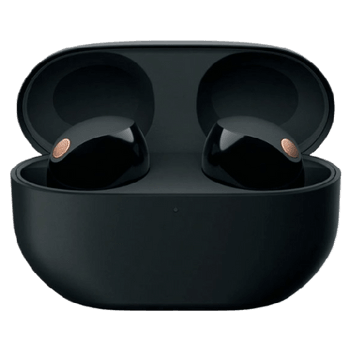 True Wireless Noise Cancelling Earbuds image