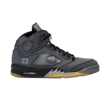 Jordan 5 Retro Muslin image